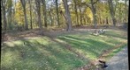 South Park Duck Pond Bank