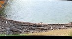 Lake at Cunningham Falls