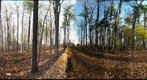 Dairy Bush GigaPan - 61 - Oct 27 2010