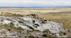 Petrified Forest National Park - Petrified Wood / Solomons Throne