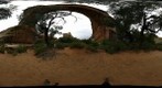 Natural Bridges National Monument - Under Sipapu Bridge