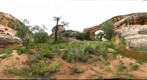 Natural Bridges National Monument - Sipapu Bridge N 