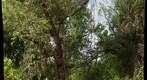 Mariposa Preserve