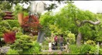 japanese tea garden san francisco