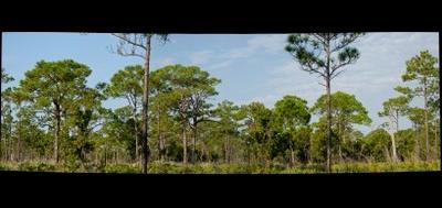 63595-400x189