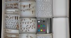 Trichoptera Receiving 1