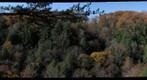 Conkle's Hollow State Nature Preserve