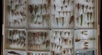 Orthoptera Receiving 20