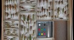 Orthoptera Receiving 17