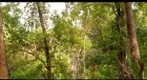 Mariposa Preserve 2