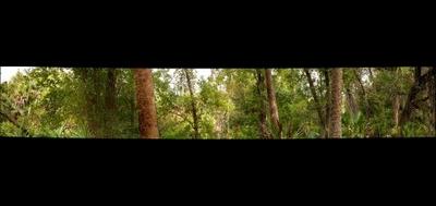 63749-400x189