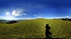 On the Scheidegg ZH