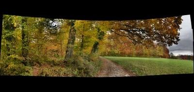 63773-400x189
