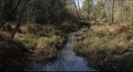 Newman Wetlands Center