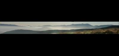 6382-400x189