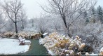 Frosted Landscape