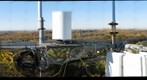 BES Flux tower