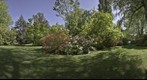 Christchurch Botanic Gardens 1