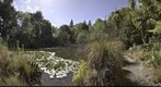 Christchurch Botanic Gardens 2