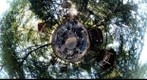 DharmaTreehouseSpin