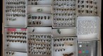 Megachile 23