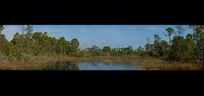 64037-400x189