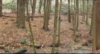 McKeever 2010 Goldsworthy 1