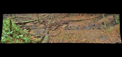 64052-400x189