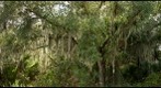 Halpatiokee Regonal Park Preserve area