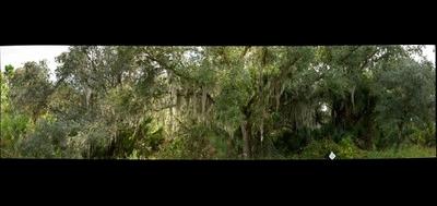 64055-400x189