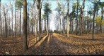 Dairy Bush GigaPan - 62 - Nov 03 2010