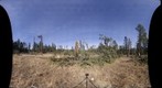 20101104 Coconino Forest Tornado Damage B