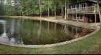 Pond Edge, Pennsylvania Beauty 