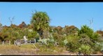 Hobe Mountain