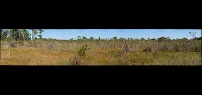 64349-400x189