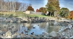 South Park Pittsburh Duck Pond