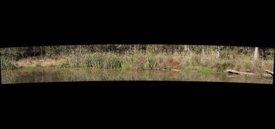 64453-400x189