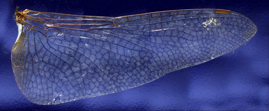 64458-872x360