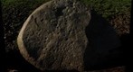 Trefoel art one