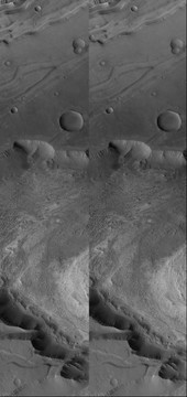 64596-170x360