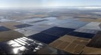 Rice farming near Richvale in the Butte Basin, Sacramento Valley, CA