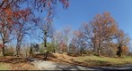 Ringwood State Park