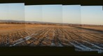 Snow Geese and Harvested Rice - Rancho Esquon, Butte County, Ca