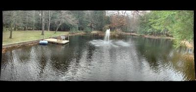 64666-400x189