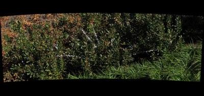 64680-400x189