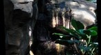 Phipps Waterfall