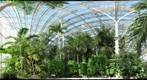 Tropical forest conservatory