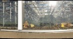 Dead Bugs