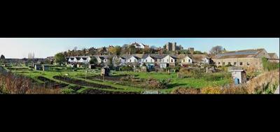 64732-400x189