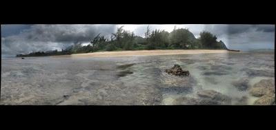 64789-400x189